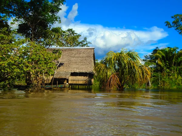 Cabaña en el río Amazonas Imagen de stock