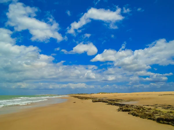 Пляж Galinhos, Бразилія Ліцензійні Стокові Зображення
