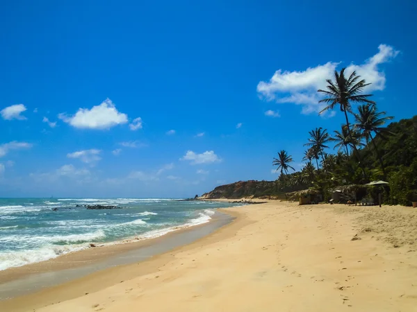 Praia da Pipa no Brasil — Fotografia de Stock