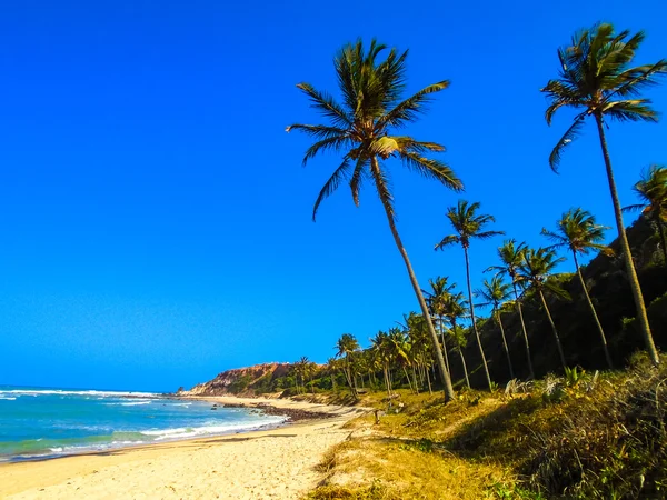 Pipa pláž v Brazílii — Stock fotografie
