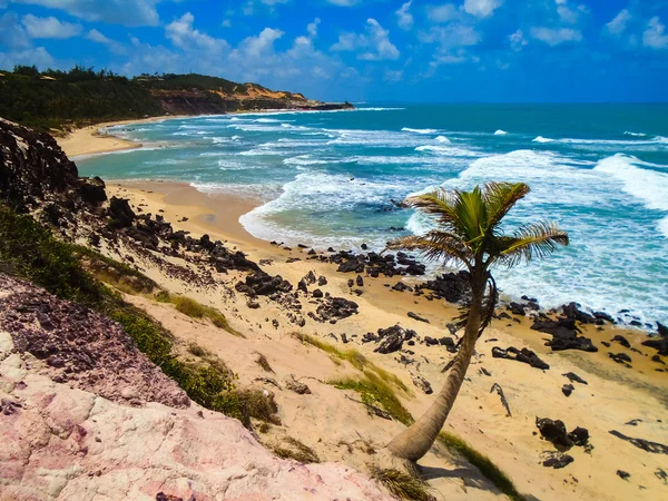 Praia da Pipa no Brasil Fotografias De Stock Royalty-Free