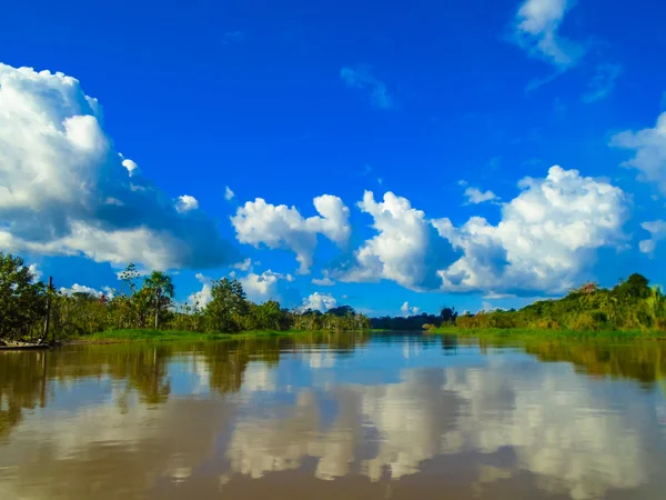 Río Amazonas en perú —  Fotos de Stock