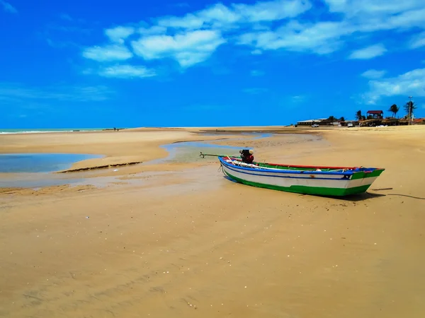 在巴西的 Galinhos 海滩 — 图库照片