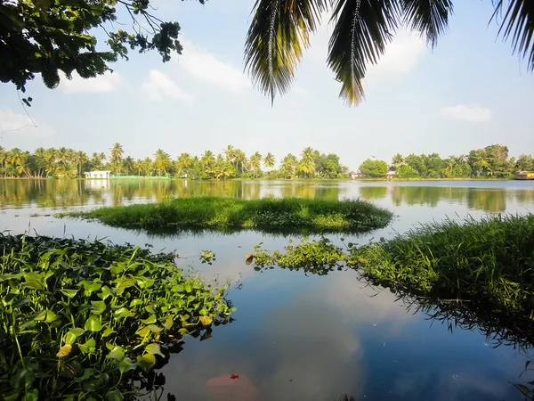 Görünüm Alleppey, Hindistan — Stok fotoğraf