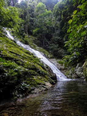 Borneo, Lupa Masa yağmur ormanları