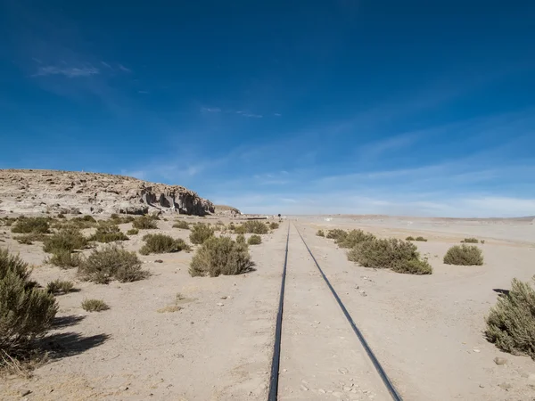 Altiplano v Bolívii — Stock fotografie