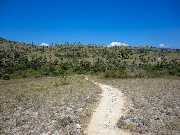 Komodo, Endonezya — Stok fotoğraf