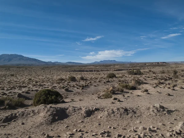 Altiplano en Bolivia — Foto de Stock