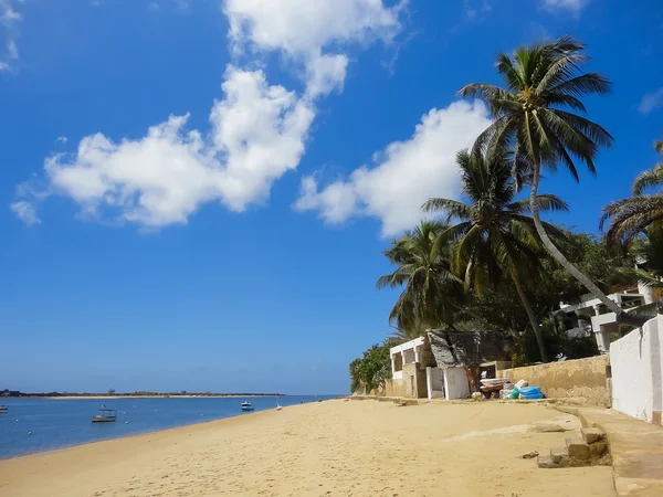 Lamu beach, Keňa — Stock fotografie