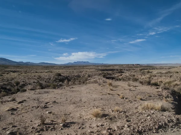 Altiplano en Bolivia — Foto de Stock