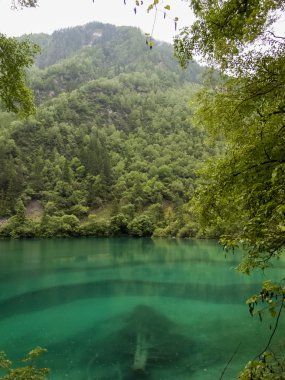 Jiuzhaigou Vadisi Milli park Çin