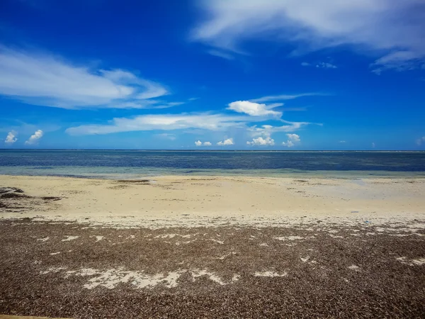Playa en Mombasa, Kenia — Foto de Stock