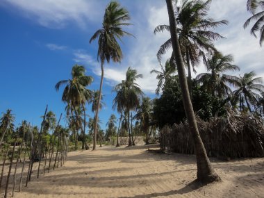 Kenya Lamu Adası