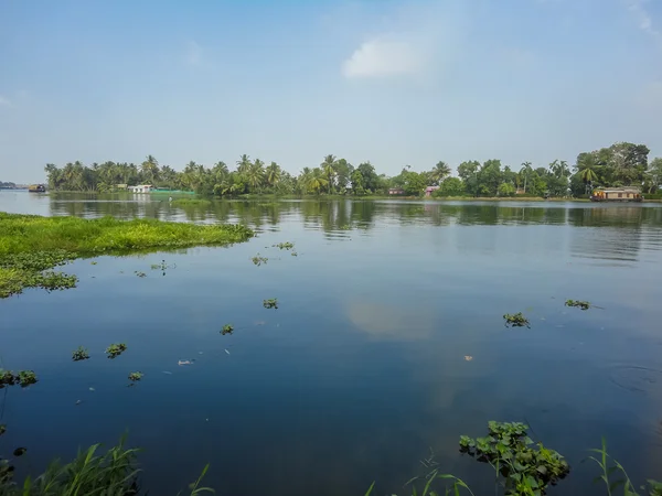 Vista en el río Amazonas —  Fotos de Stock