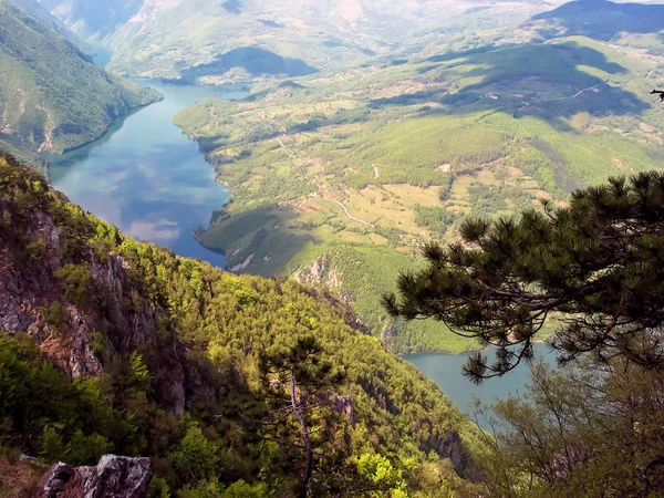 Montaña Tara en Serbia — Foto de Stock