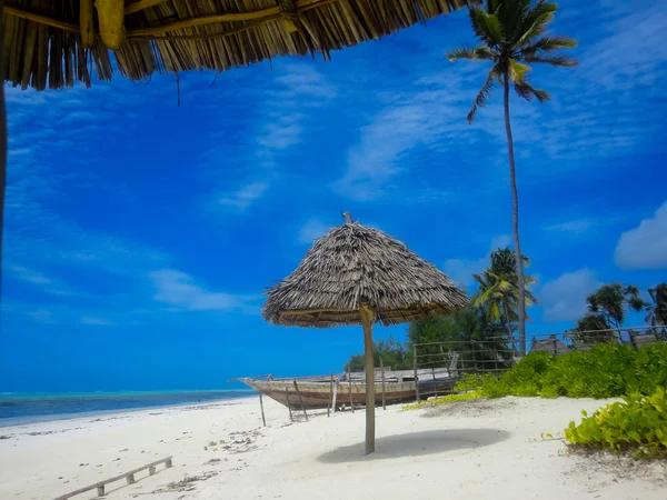 Zanzibar beach — Stock Photo, Image