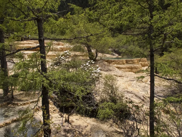 Huanglong, Čína — Stock fotografie