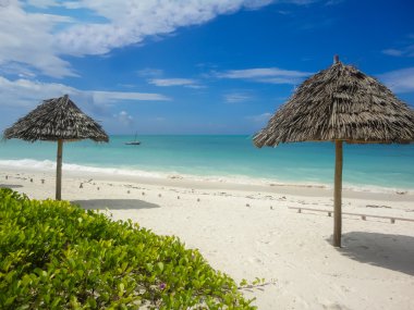 Jambiani beach at Zanzibar, Tanzania clipart