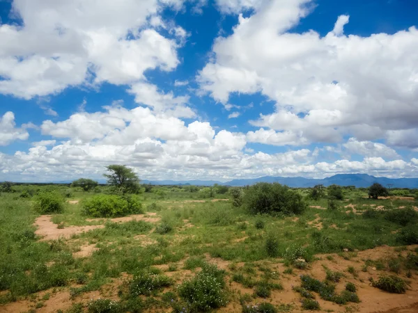 Moshi, Tanzania —  Fotos de Stock