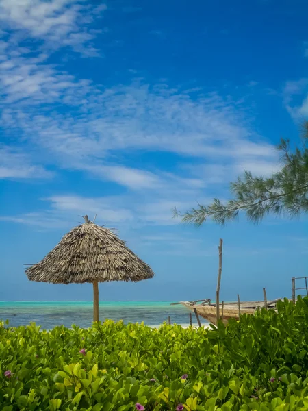 Zanzibar beach — Zdjęcie stockowe