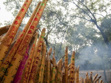 Lingyun Tapınağı Leshan, Çin