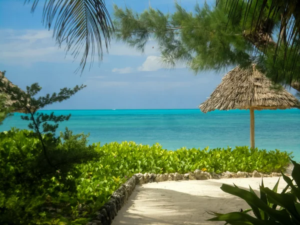 Jambiani beach at Zanzibar, Tanzania — Stock Photo, Image