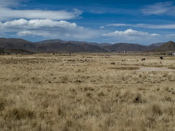 Altiplano v Bolívii — Stock fotografie