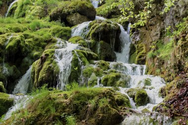Bukovica Nehri Karadağ