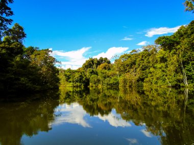 AMAZON Nehri