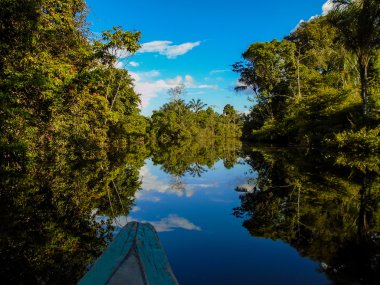 AMAZON Nehri