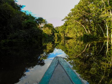 AMAZON Nehri