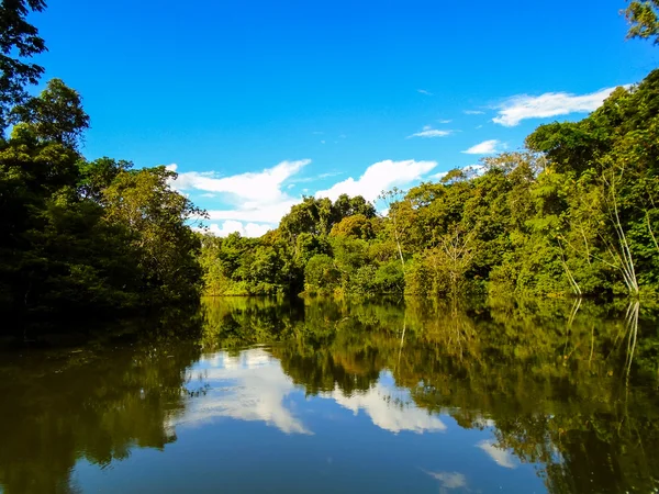 AMAZON RIVER Ordförande — Stockfoto