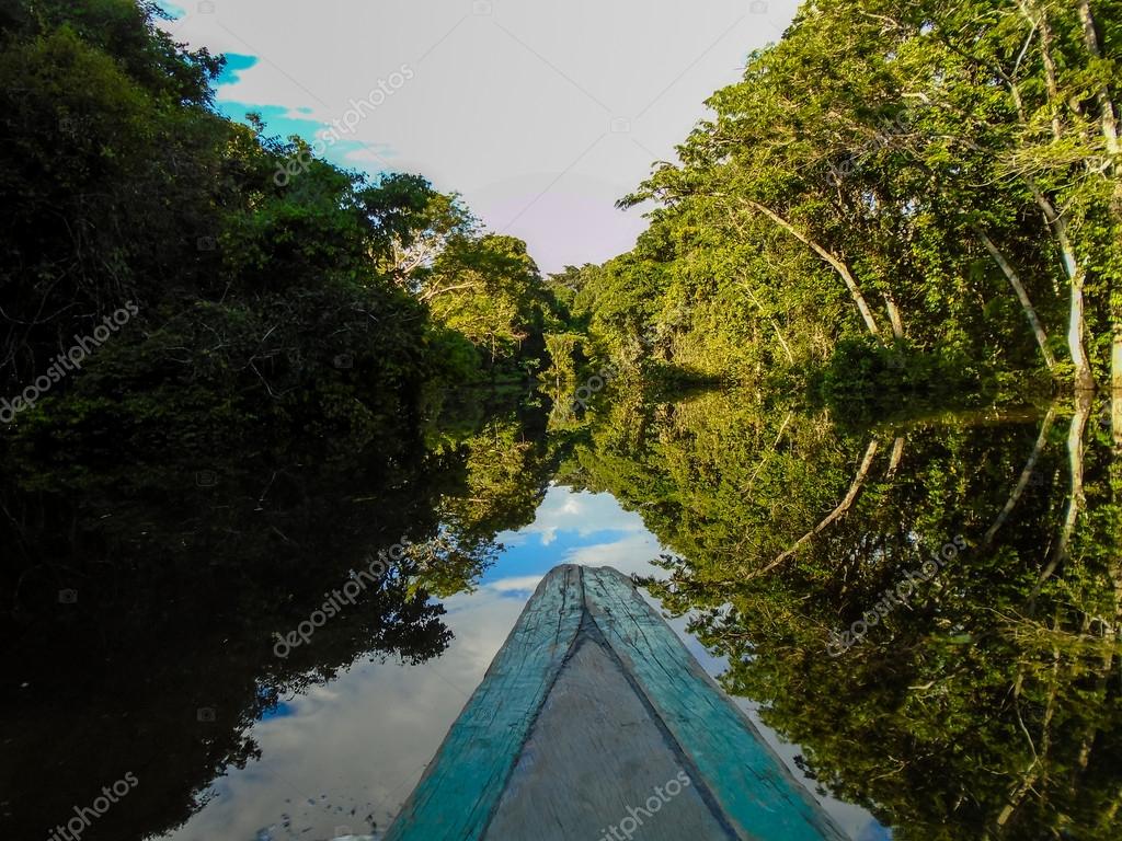 Amazonas Stockfotografie lizenzfreie Fotos © ammonite 74008429