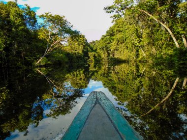 Amazon river clipart