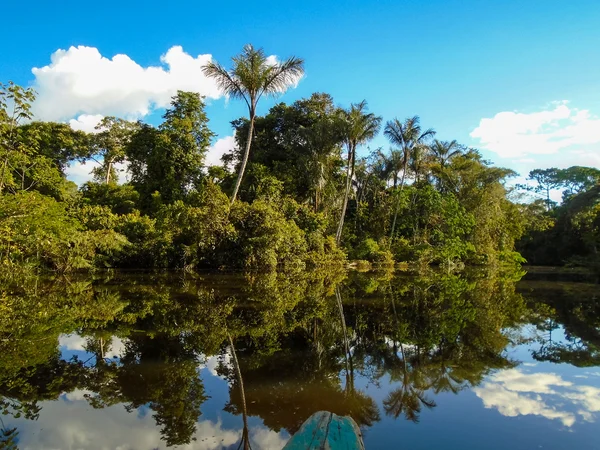 Amazone rivier — Stockfoto