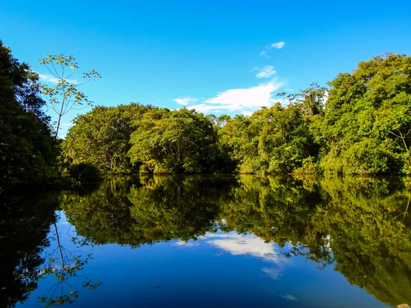 AMAZON RIVER Ordförande — Stockfoto