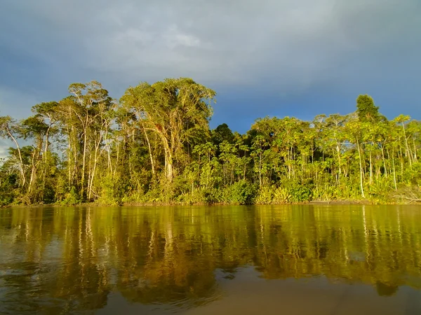 Rio Napo — Stok Foto