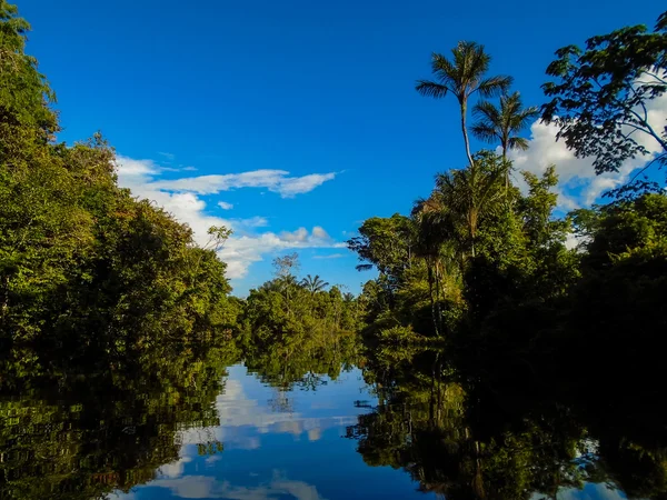 Amazone rivier — Stockfoto