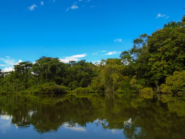 Amazone rivier — Stockfoto
