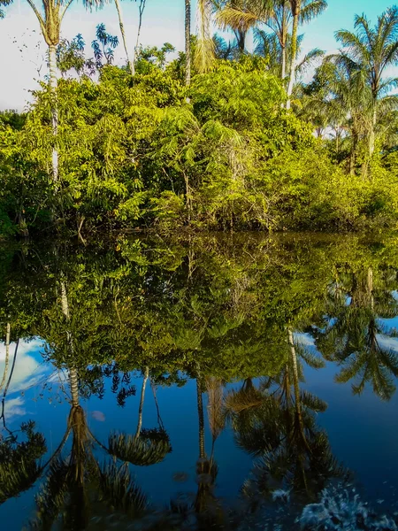 Amazone rivier — Stockfoto