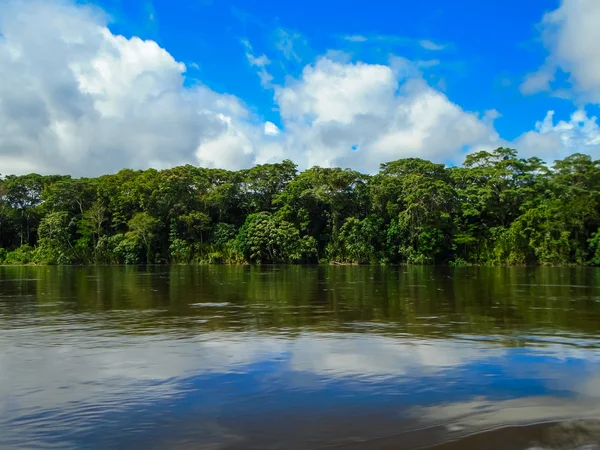 Rio Napo — Stok Foto