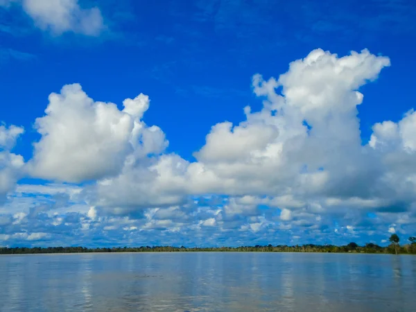 亚马逊河 — 图库照片