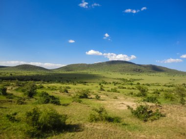 Kenya'daki Masai Mara Ulusal rezerv