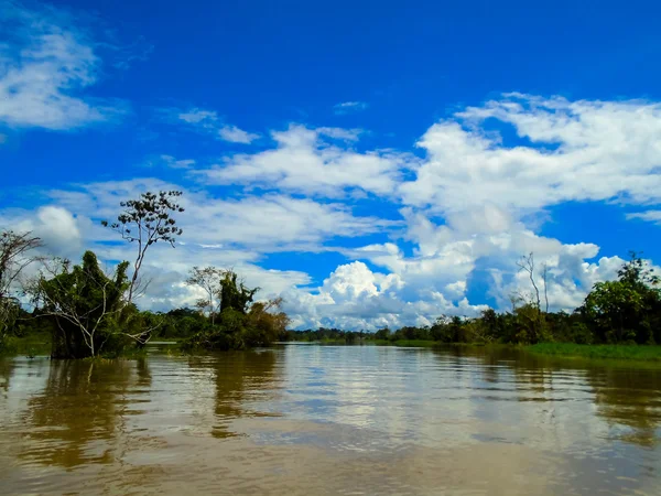 AMAZON Nehri — Stok fotoğraf