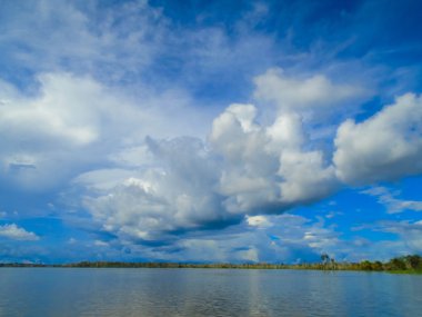 Amazon nehri görüntüleme