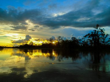 AMAZON Nehri