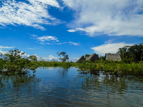 RÍO AMAZONO —  Fotos de Stock