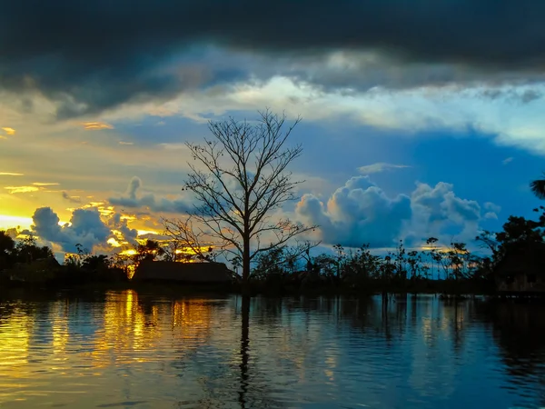 AMAZON Nehri — Stok fotoğraf