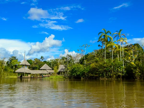 Rio AMAZON Fotografia De Stock