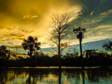 Amazon Nehri, Amerika